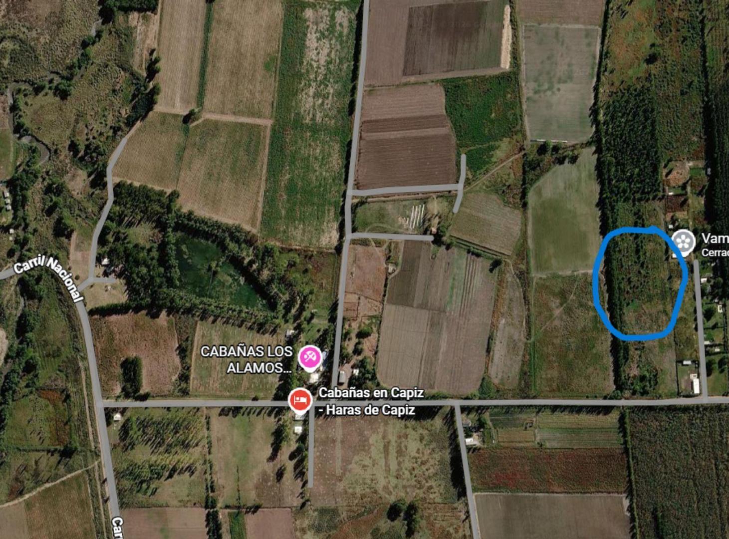 Foto de Venta Terreno Capiz San Carlos Mendoza, imagen 4