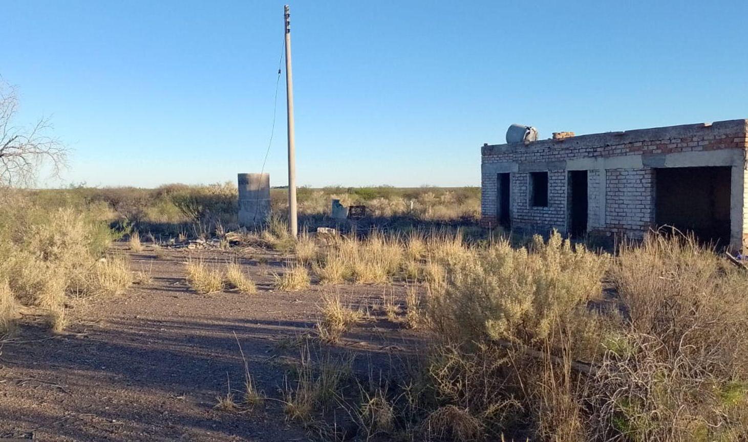 Foto de VENTA FINCA SANTA ROSA MENDOZA, imagen 2