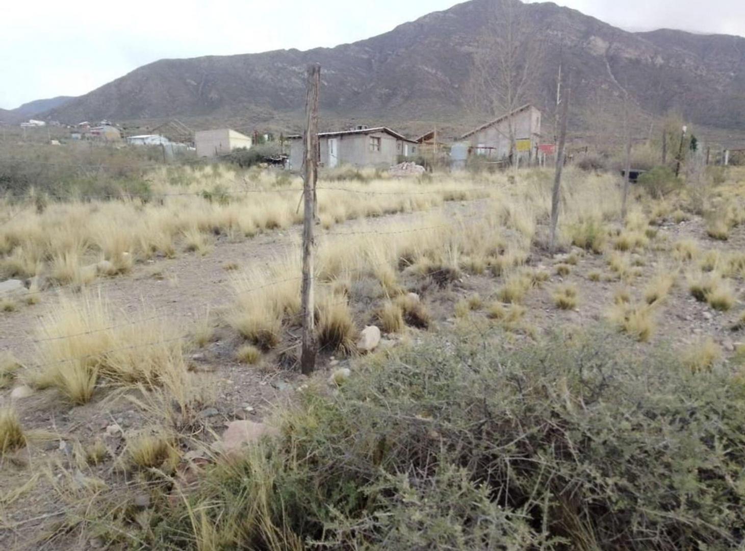 Foto de VENTA LOTE EN VALLECITO APTA PARA CABAÑAS, imagen 1