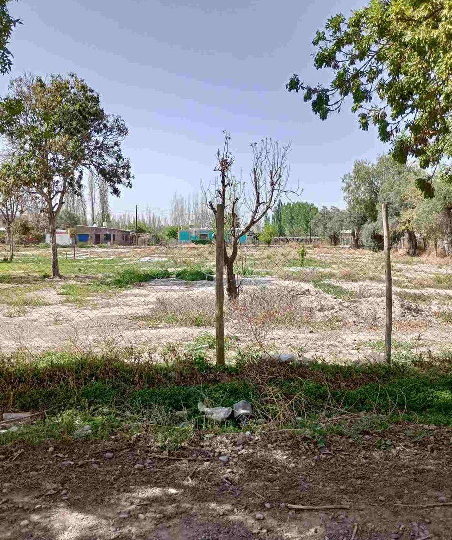 Foto de VENTA LOTE SAN MARTIN MENDOZA, imagen 4