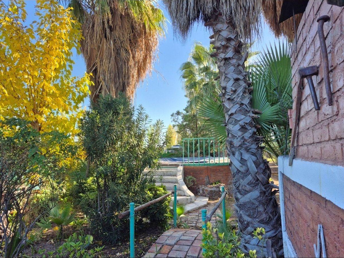 Foto de VENTA CASA QUINTA CON PILETA Y QUINCHO. Guaymallén, imagen 4