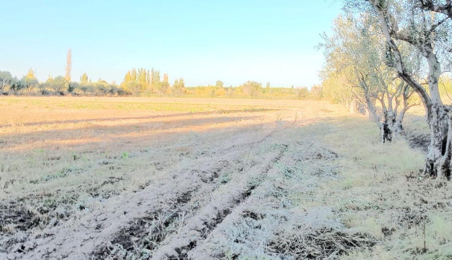 Foto de Venta de finca con dos casas mixta,Los corralitos, imagen 5