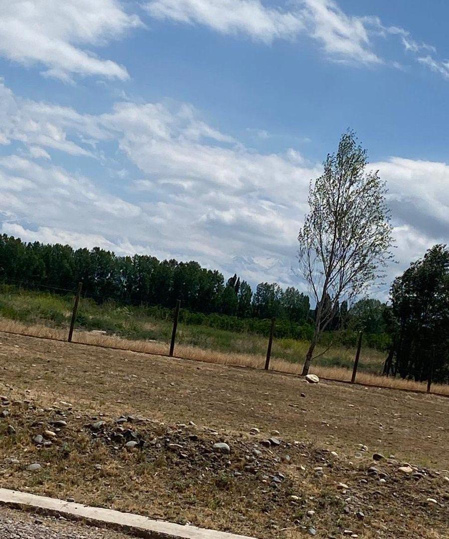 Foto de Oportunidad de inversión y vida en Entrevides, imagen 5