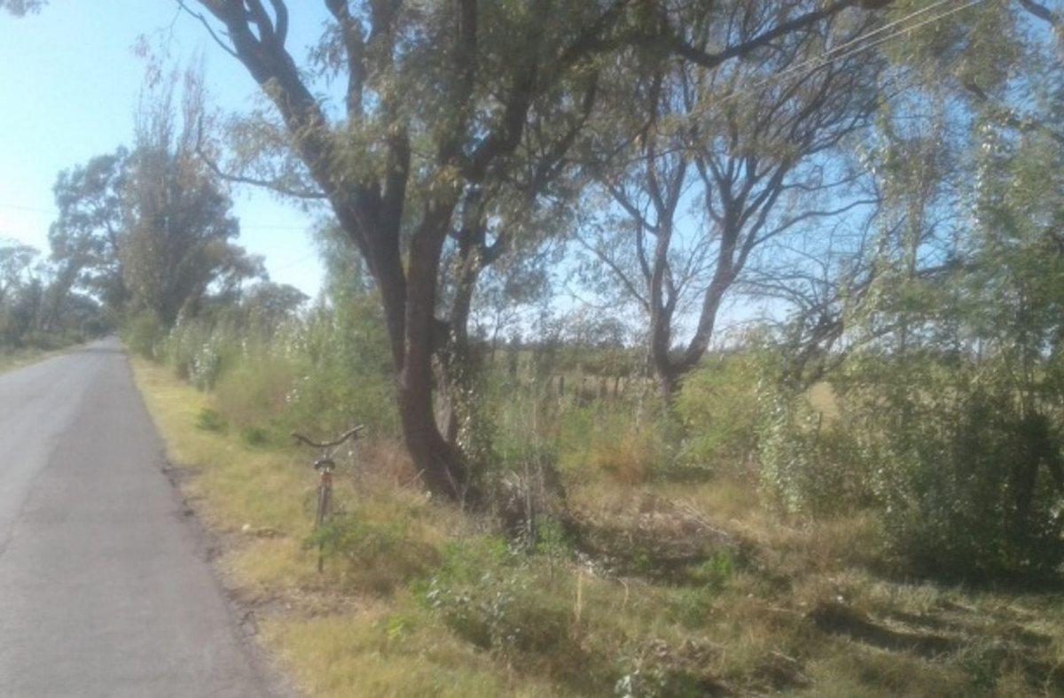 Foto de Terreno para loteo en Mendoza, General Alvear, imagen 2