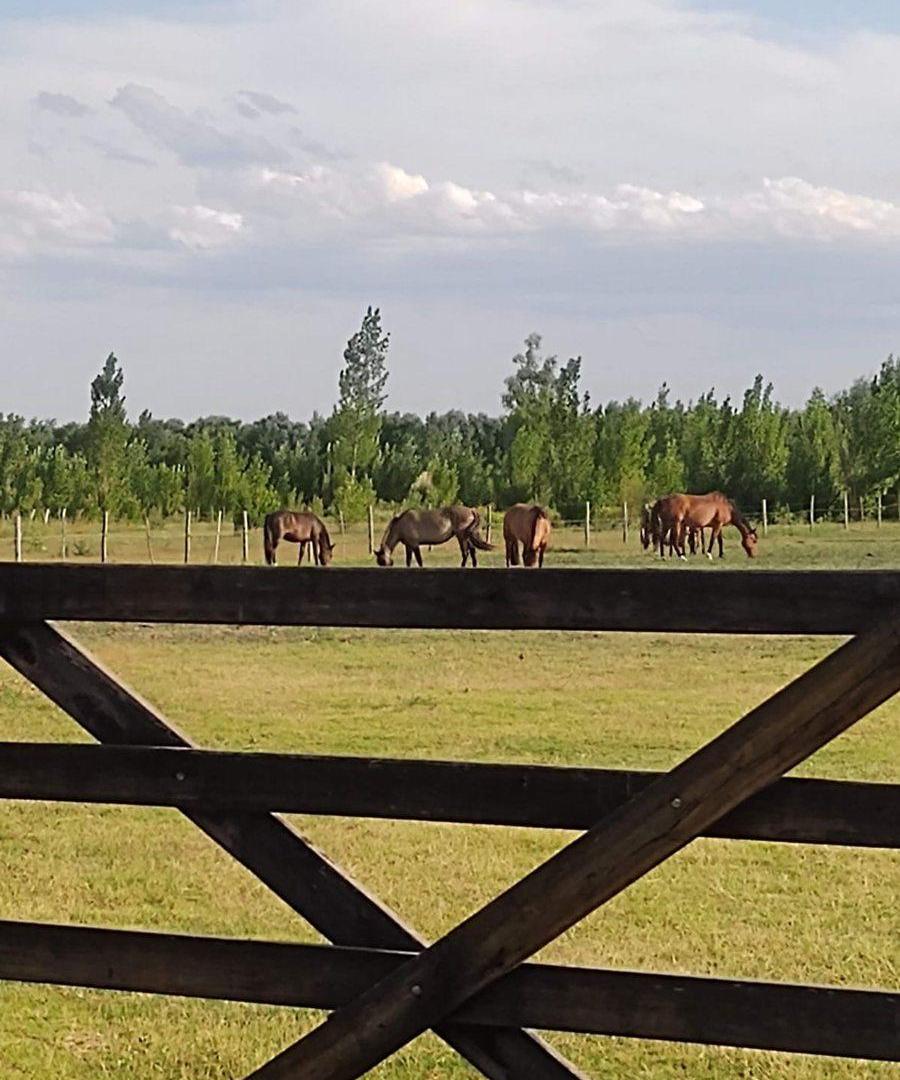 Foto de Lote en Venta Sauce Viejo Country Rural, Tunuyán, imagen 5