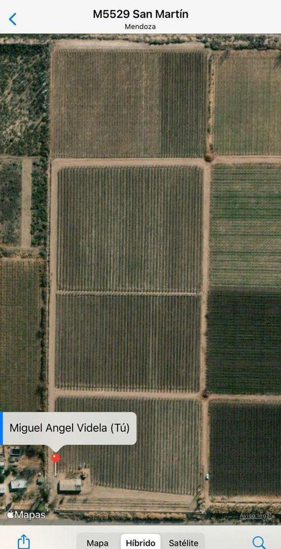 Foto de VENTA FINCA NUEVA CALIFORNIA SAN MARTIN MENDOZA, imagen 3