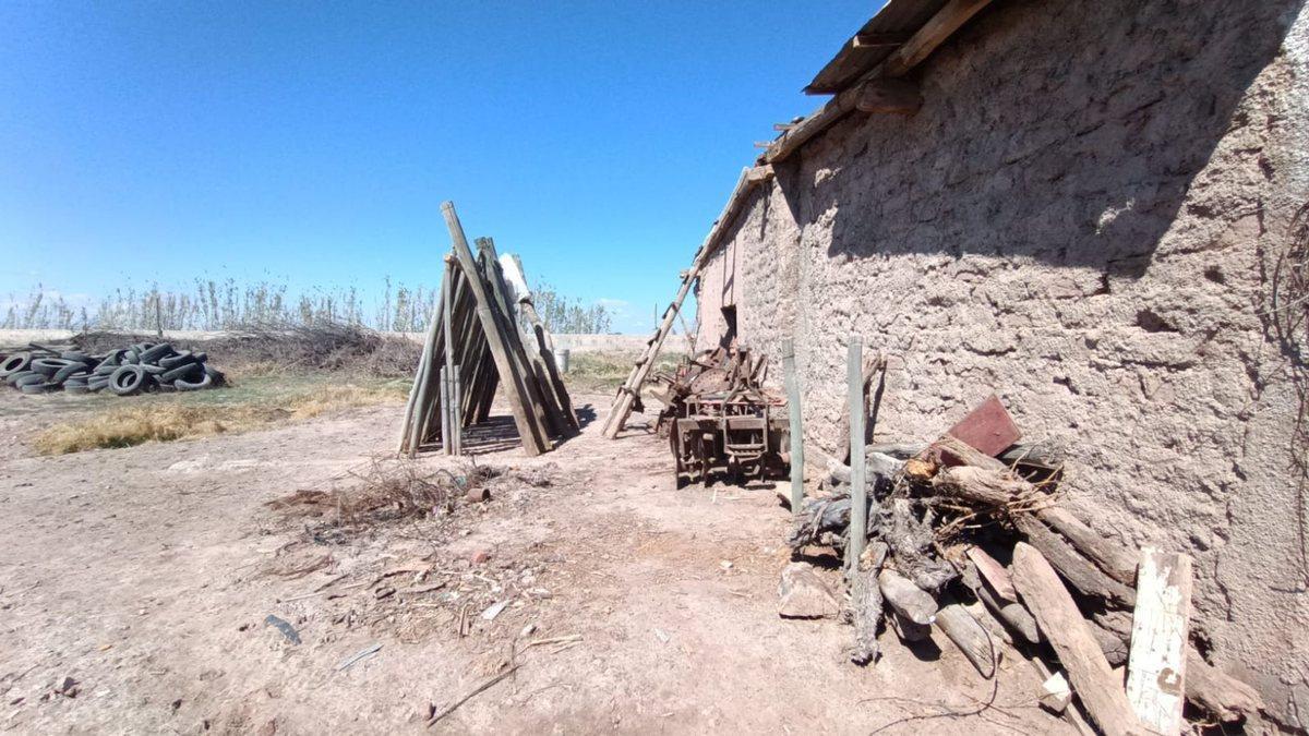 Foto de VENTA FINCA NUEVA CALIFORNIA SAN MARTIN MENDOZA, imagen 2