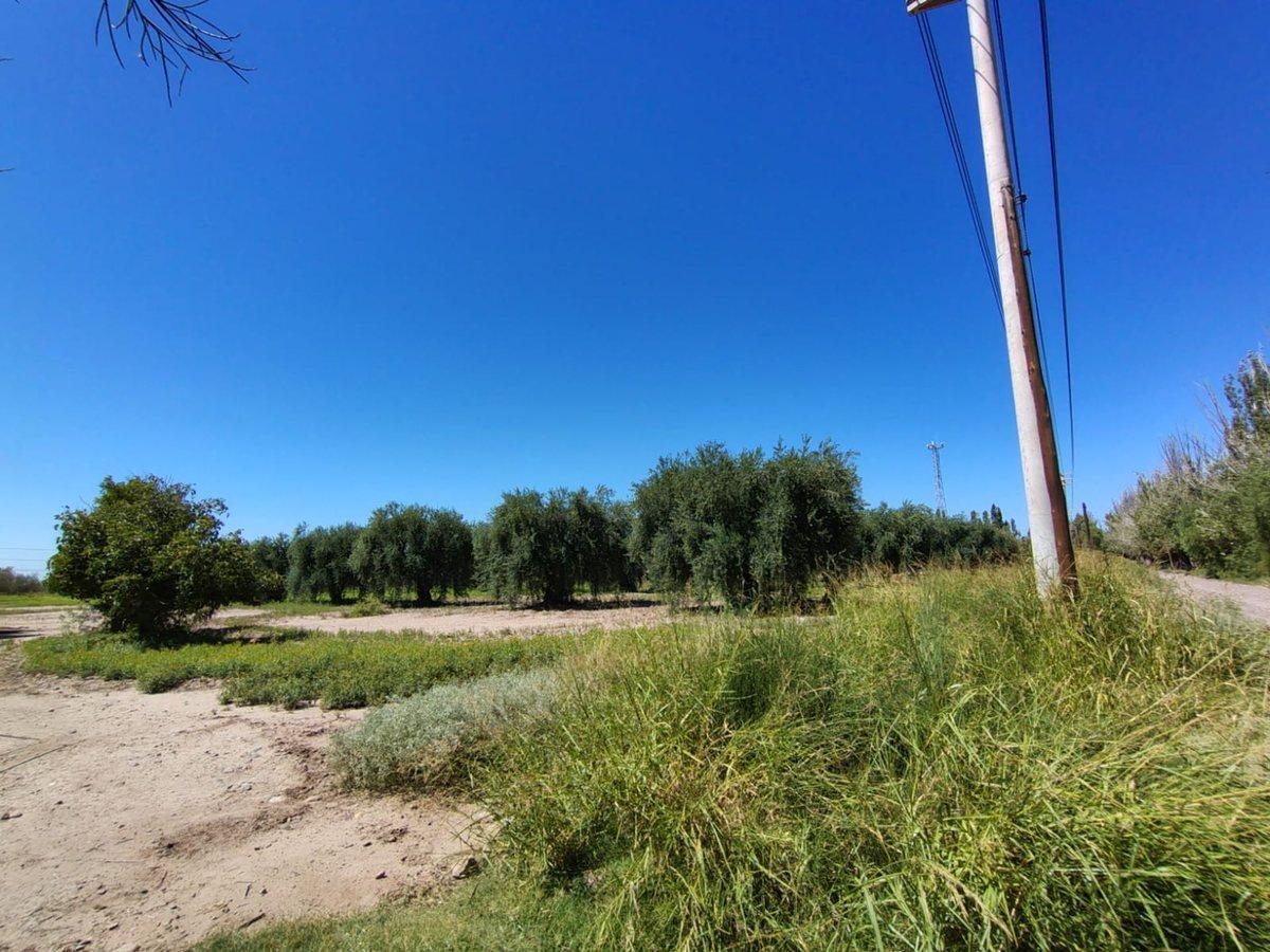 Foto de Se vende terreno en Maipú, Mendoza, imagen 1