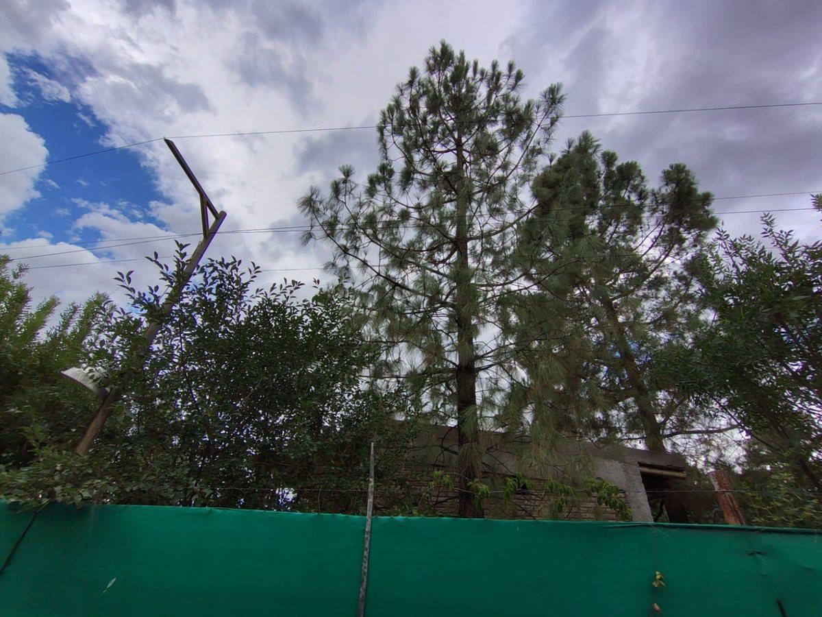 Foto de Se vende lote en Maipú, Mendoza, imagen 3
