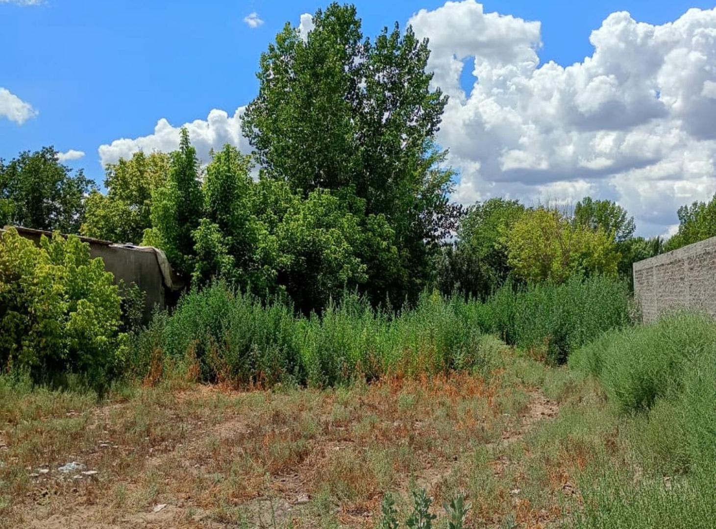 Foto de OPORTUNIDAD TERRENO DE 2170 M2 EN VENTA - TUNUYÁN, imagen 1