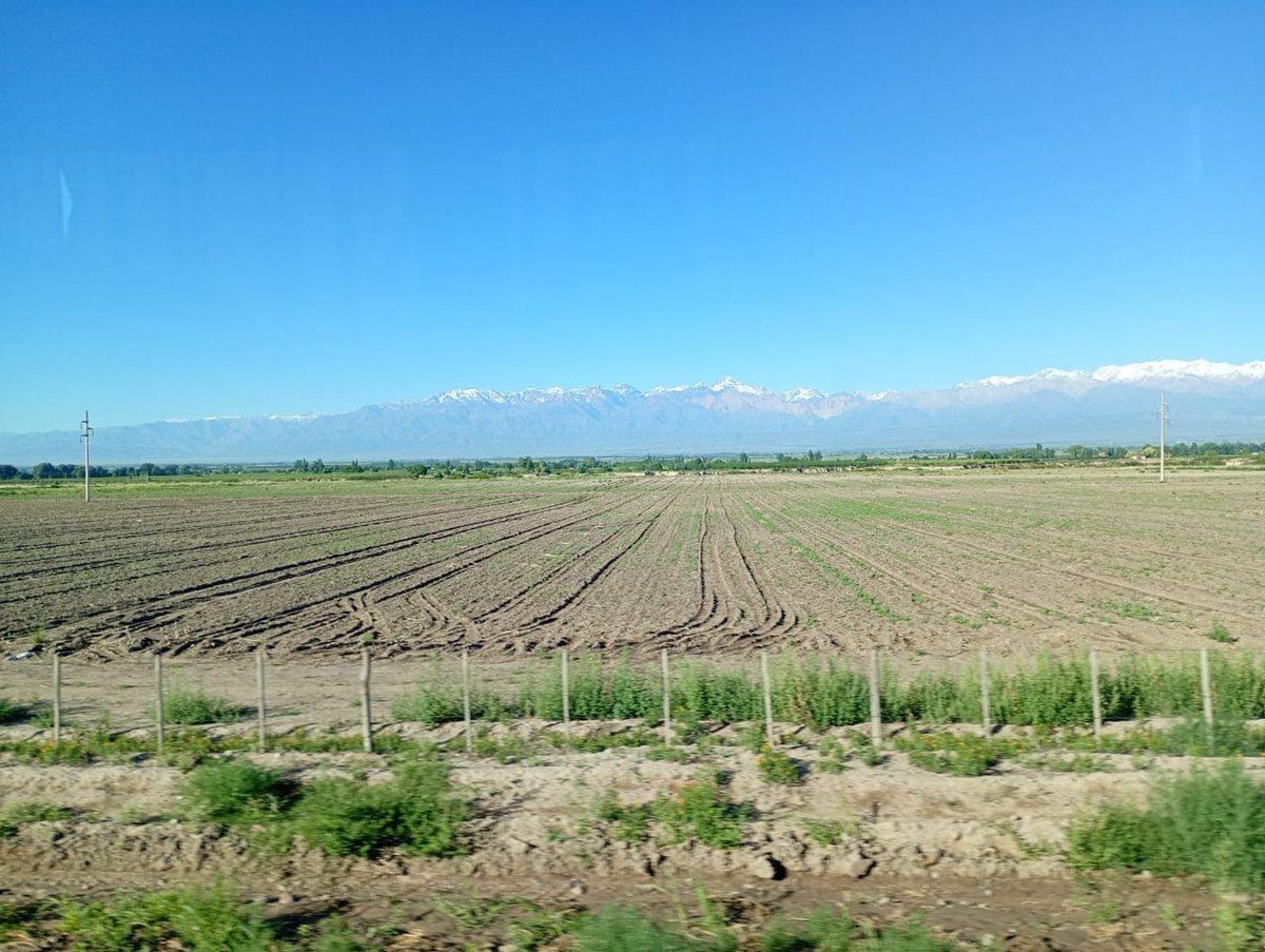 Foto de VENTA LOTE EN EL CORDÓN DEL PLATA - TUPUNGATO, imagen 3