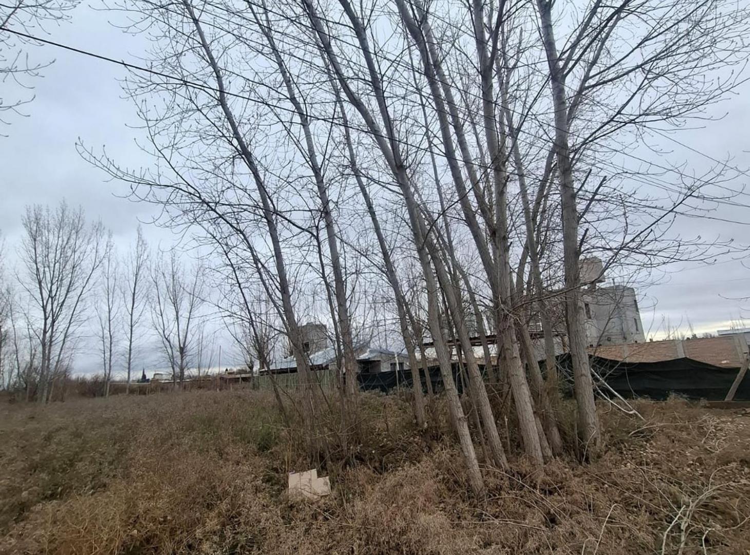 Foto de Venta Lote Los Corralitos Guaymallen Mendoza, imagen 4