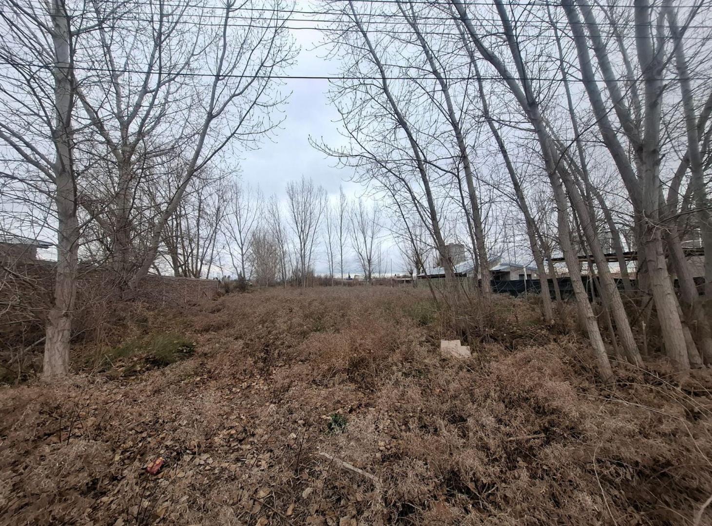 Foto de Venta Lote Los Corralitos Guaymallen Mendoza, imagen 3
