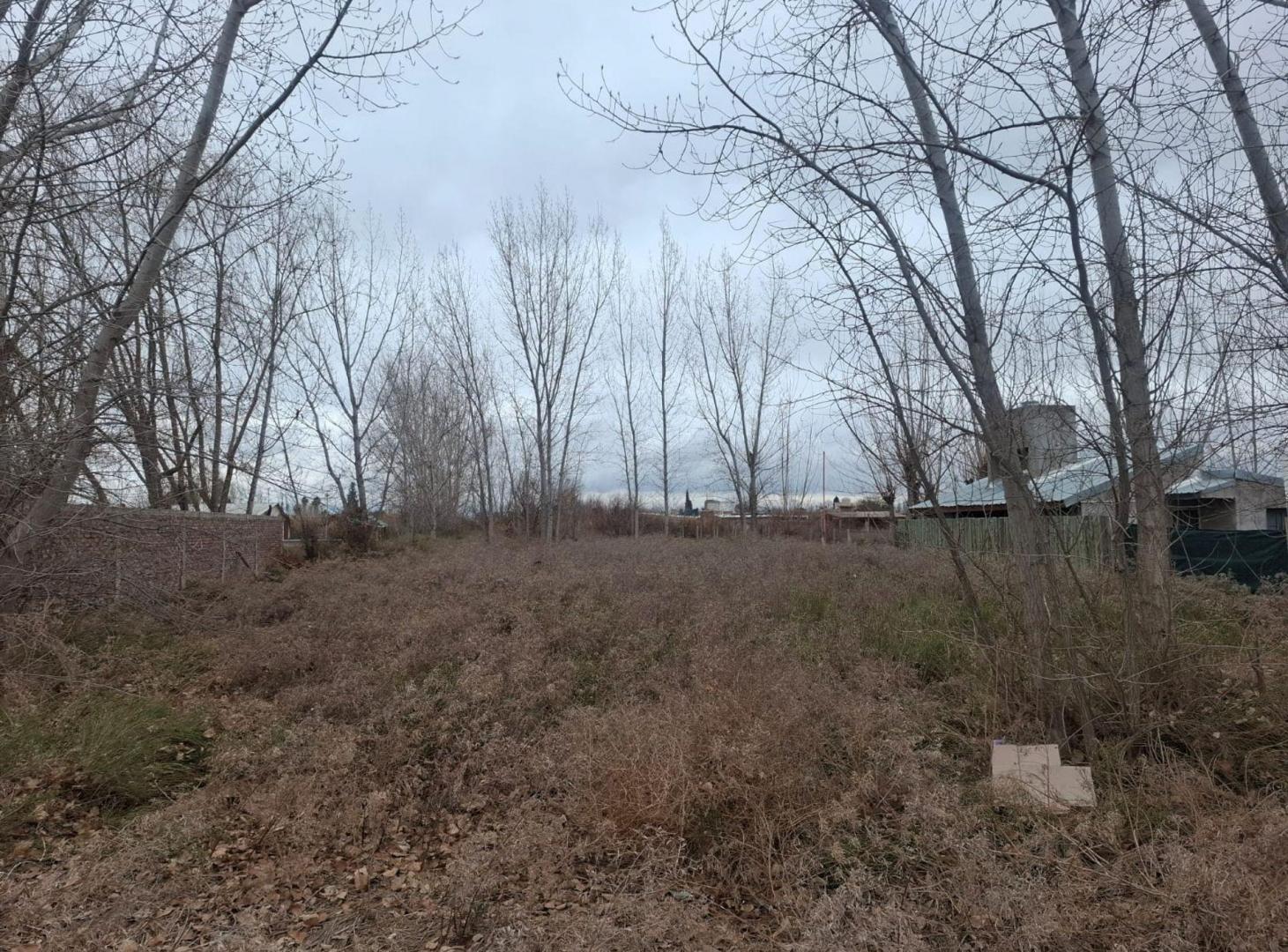 Foto de Venta Lote Los Corralitos Guaymallen Mendoza, imagen 2
