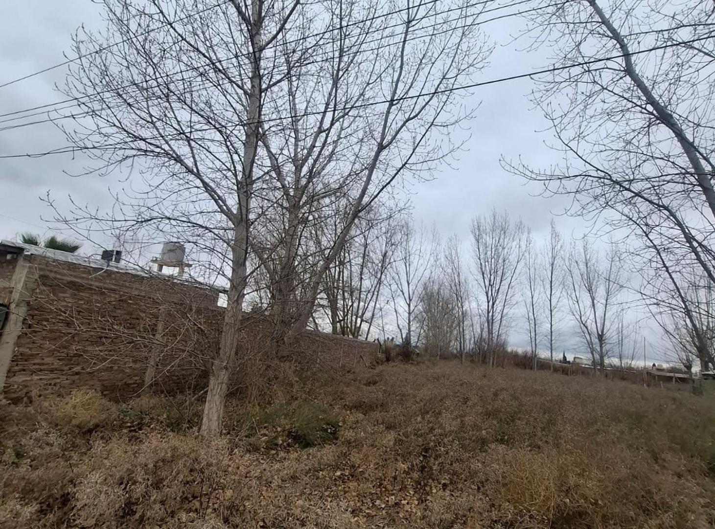 Foto de Venta Lote Los Corralitos Guaymallen Mendoza, imagen 5
