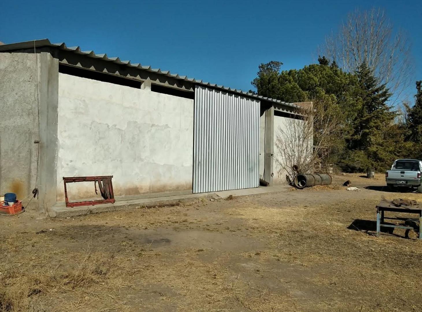 Foto de Venta 7 Hectáreas 7 Galpones Pareditas San Carlos, imagen 5