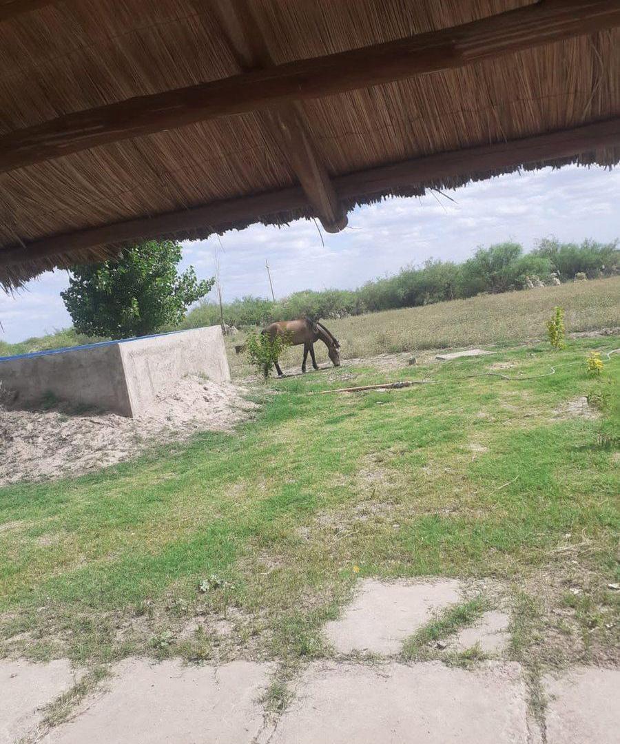 Foto de Venta Finca Con Pileta La Dormida Santa Rosa Mza, imagen 5