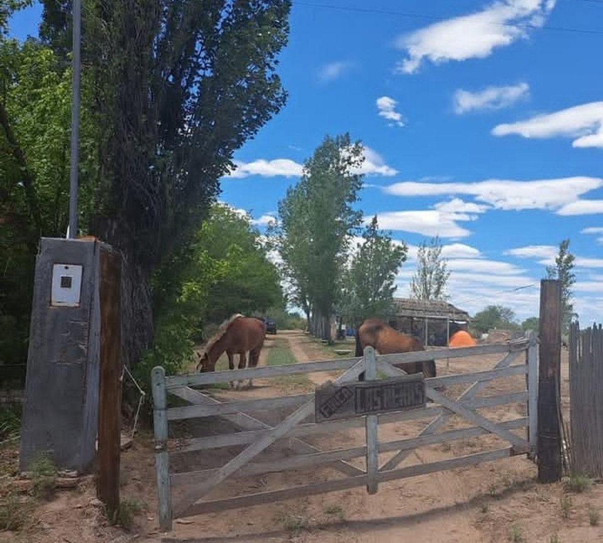 Foto de Venta Finca Con Pileta La Dormida Santa Rosa Mza, imagen 1