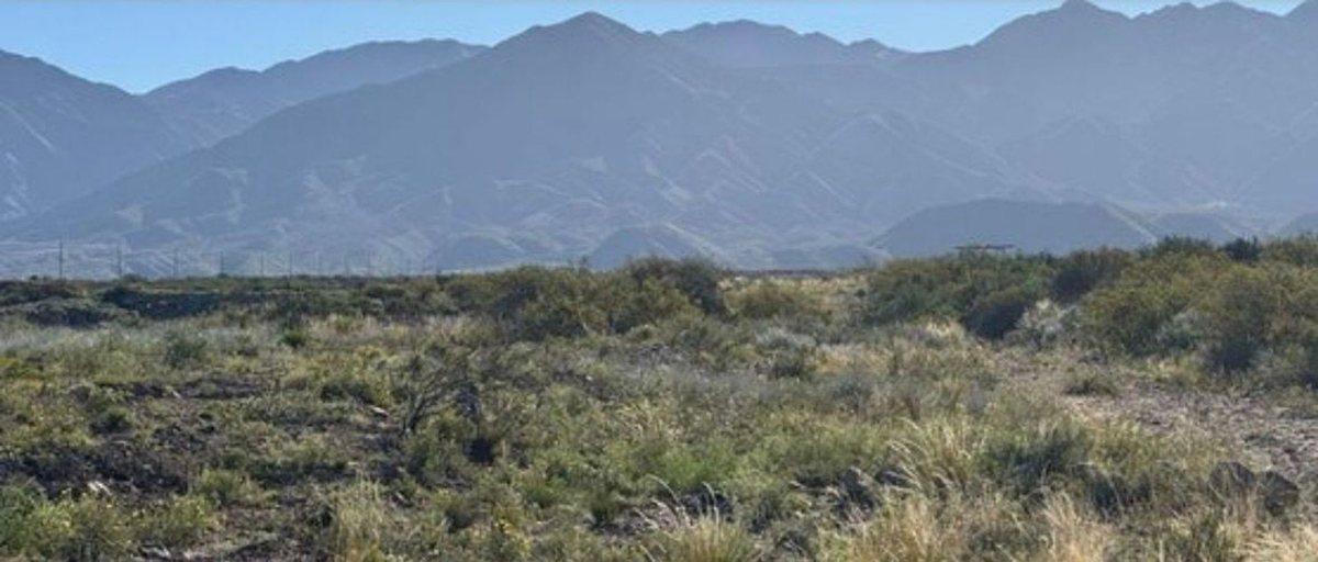 Foto de VENTA LOTE LUJAN DE CUYO MENDOZA, imagen 4