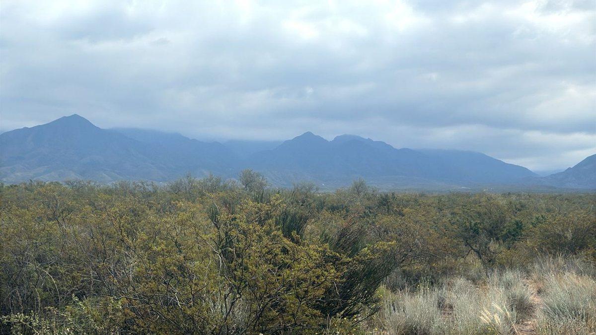 Foto de VENTA LOTE LUJAN DE CUYO MENDOZA, imagen 1