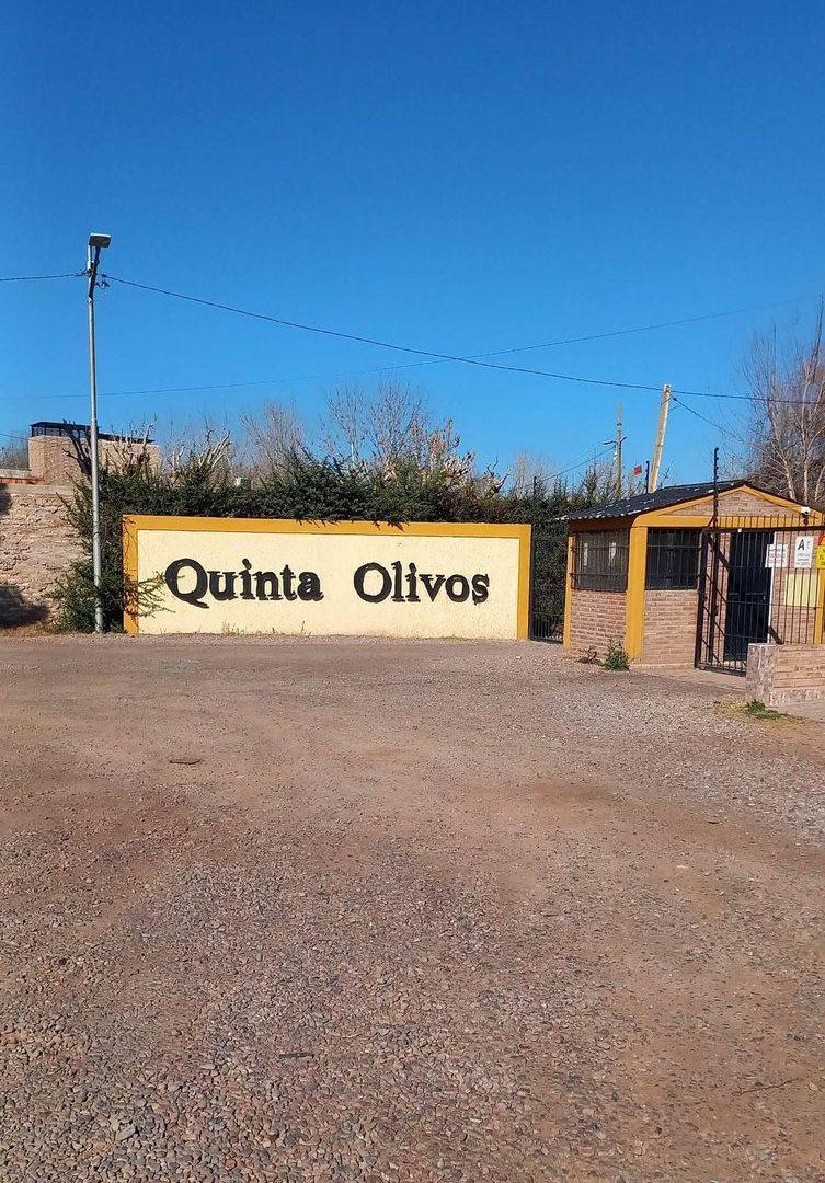 Foto de VENTA 2 LOTES B° QUINTA OLIVOS EL ALGARROBAL MZA, imagen 1