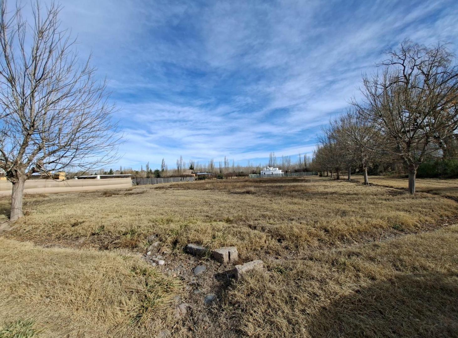 Foto de Terreno en venta. 25 de Mayo, San Rafael, Mendoza, imagen 5