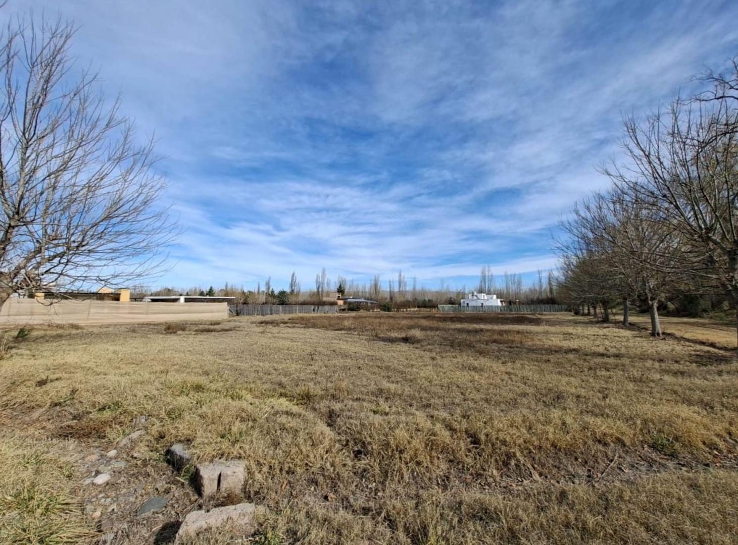 Foto de Terreno en venta. 25 de Mayo, San Rafael, Mendoza, imagen 1
