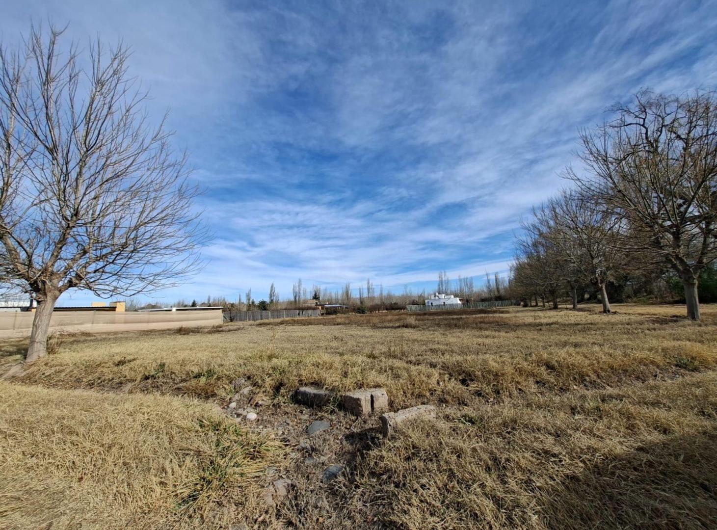 Foto de Terreno en venta. 25 de Mayo, San Rafael, Mendoza, imagen 3
