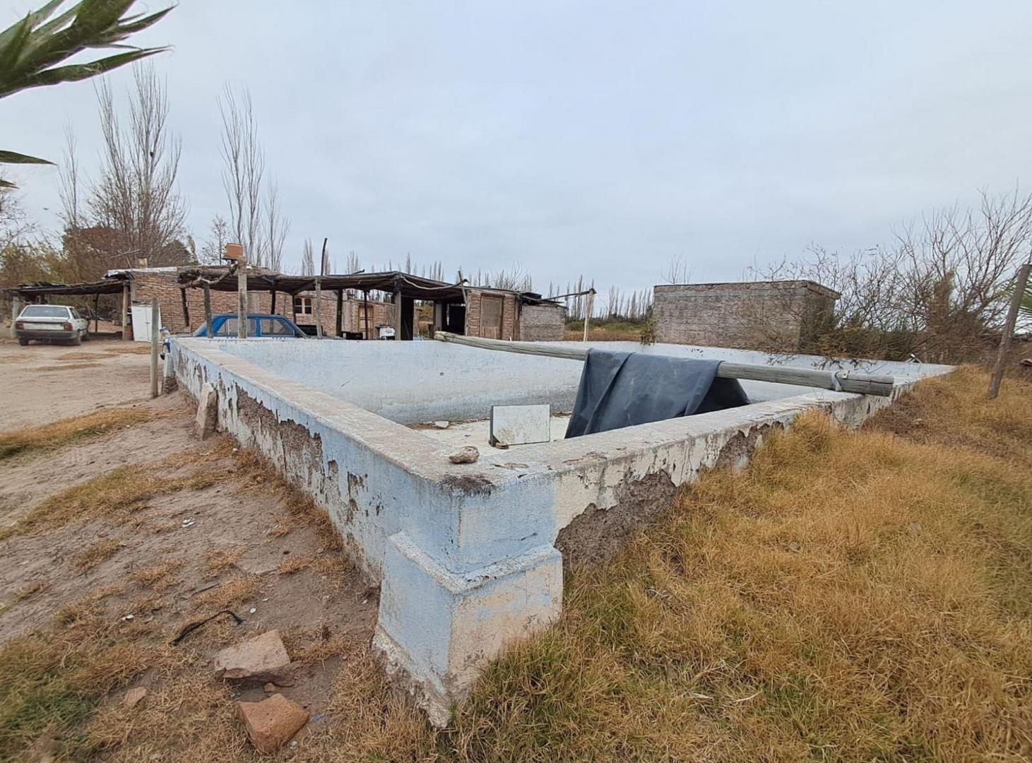 Foto de Alquiler Finca 50 hectareas en Rivadavia, imagen 2