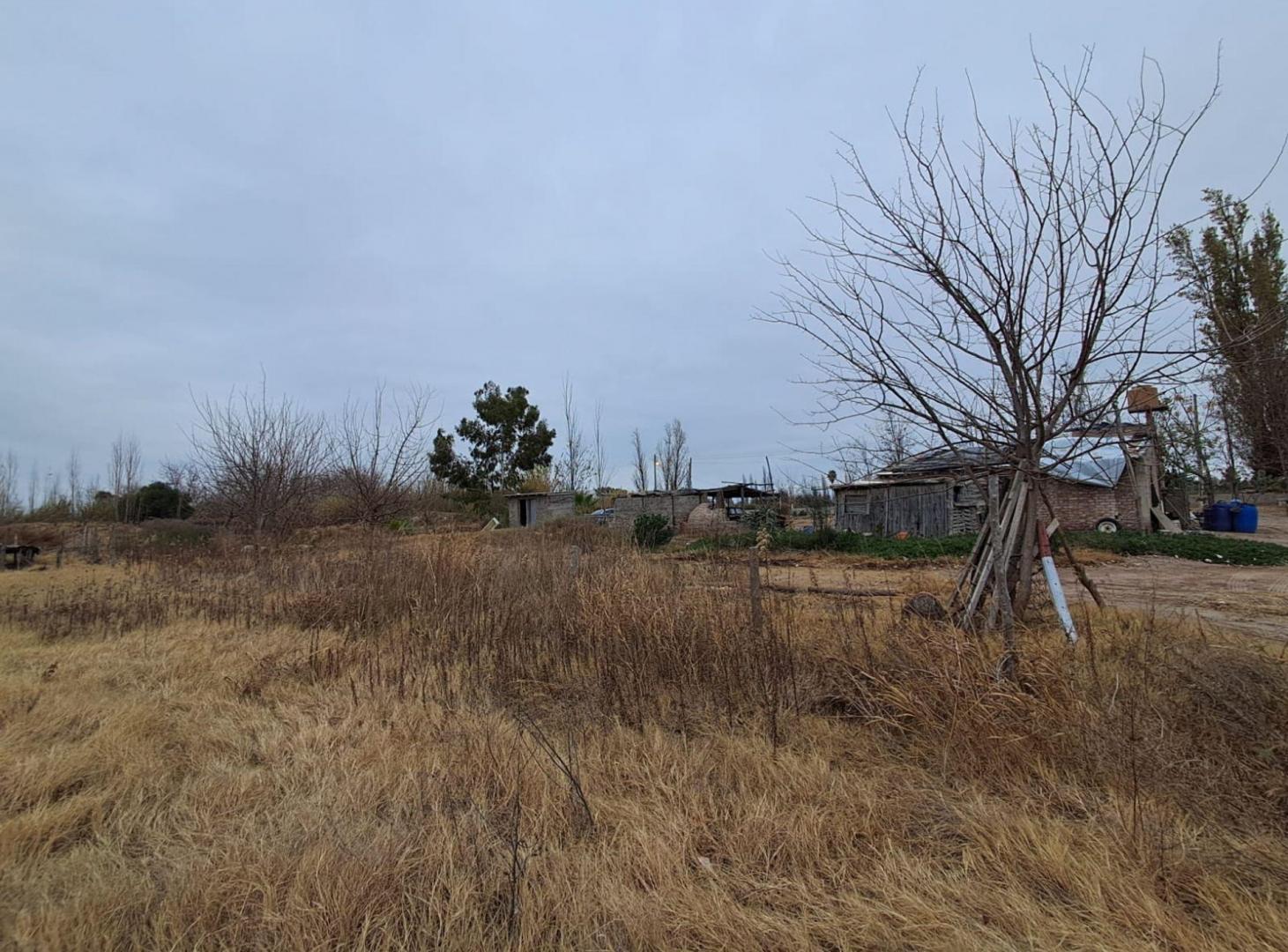 Foto de Alquiler Finca 50 hectareas en Rivadavia, imagen 4