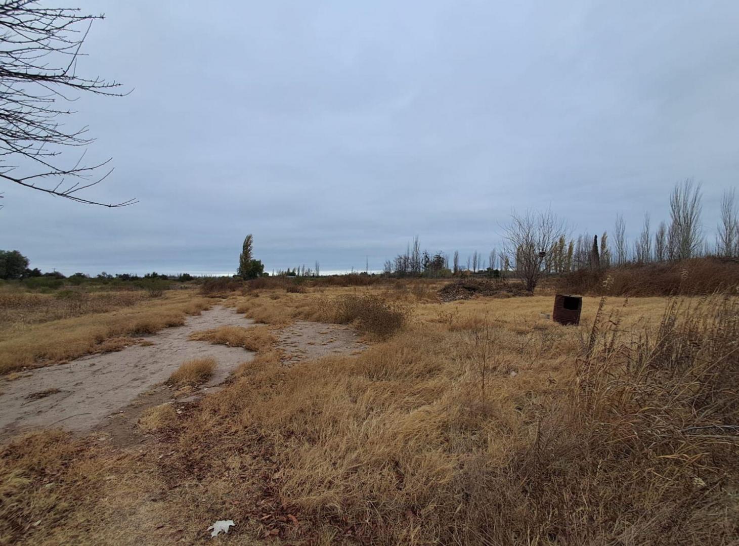 Foto de Alquiler Finca 50 hectareas en Rivadavia, imagen 5