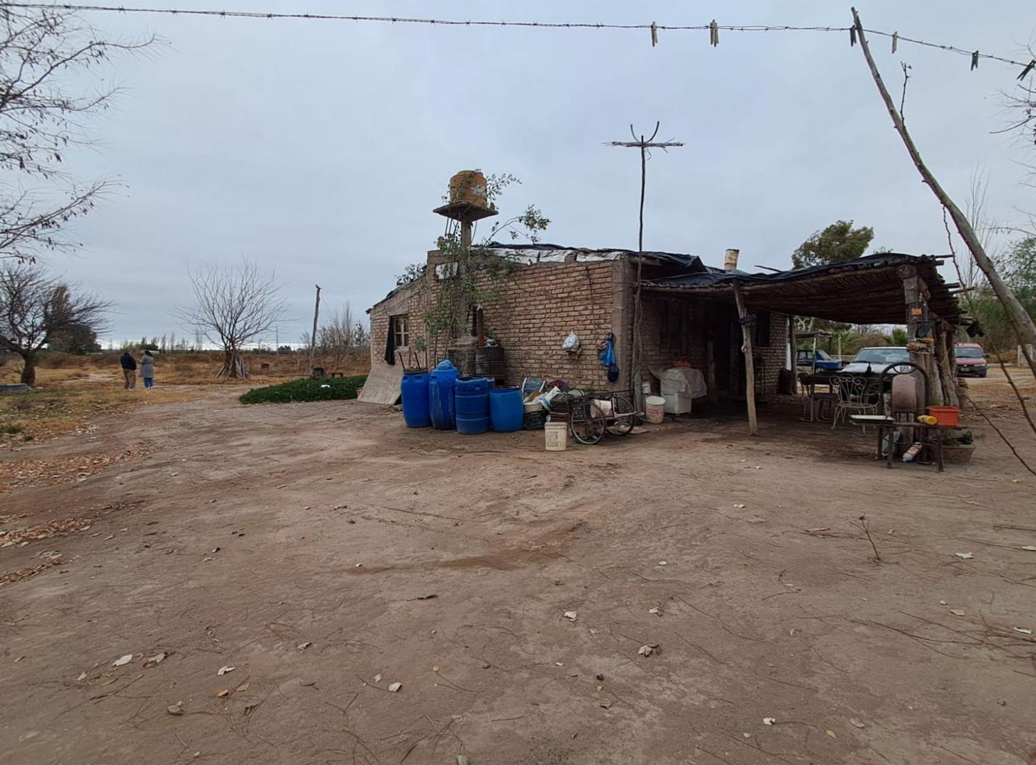 Foto de Alquiler Finca 50 hectareas en Rivadavia, imagen 3