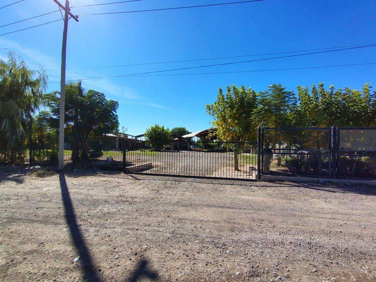 Foto de Se vende terreno con tinglados en Maipú, Mendoza, imagen 4