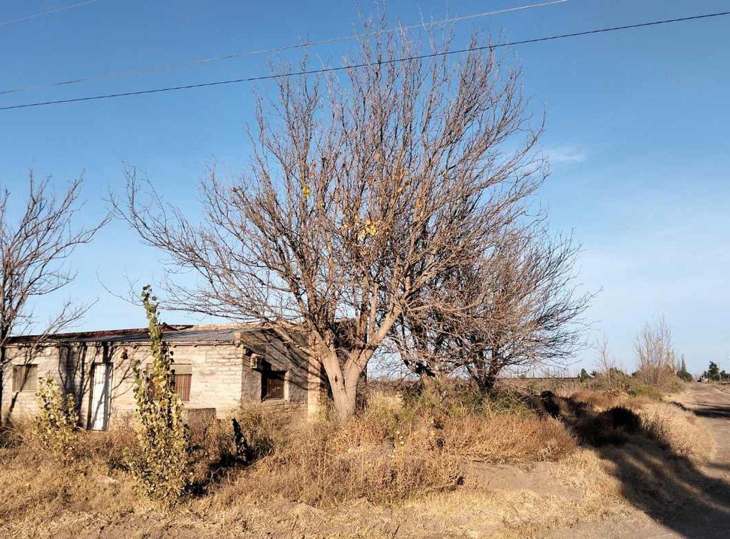 Foto de Venta Finca en Real del Padre, San Rafael, Mendoza, imagen 3