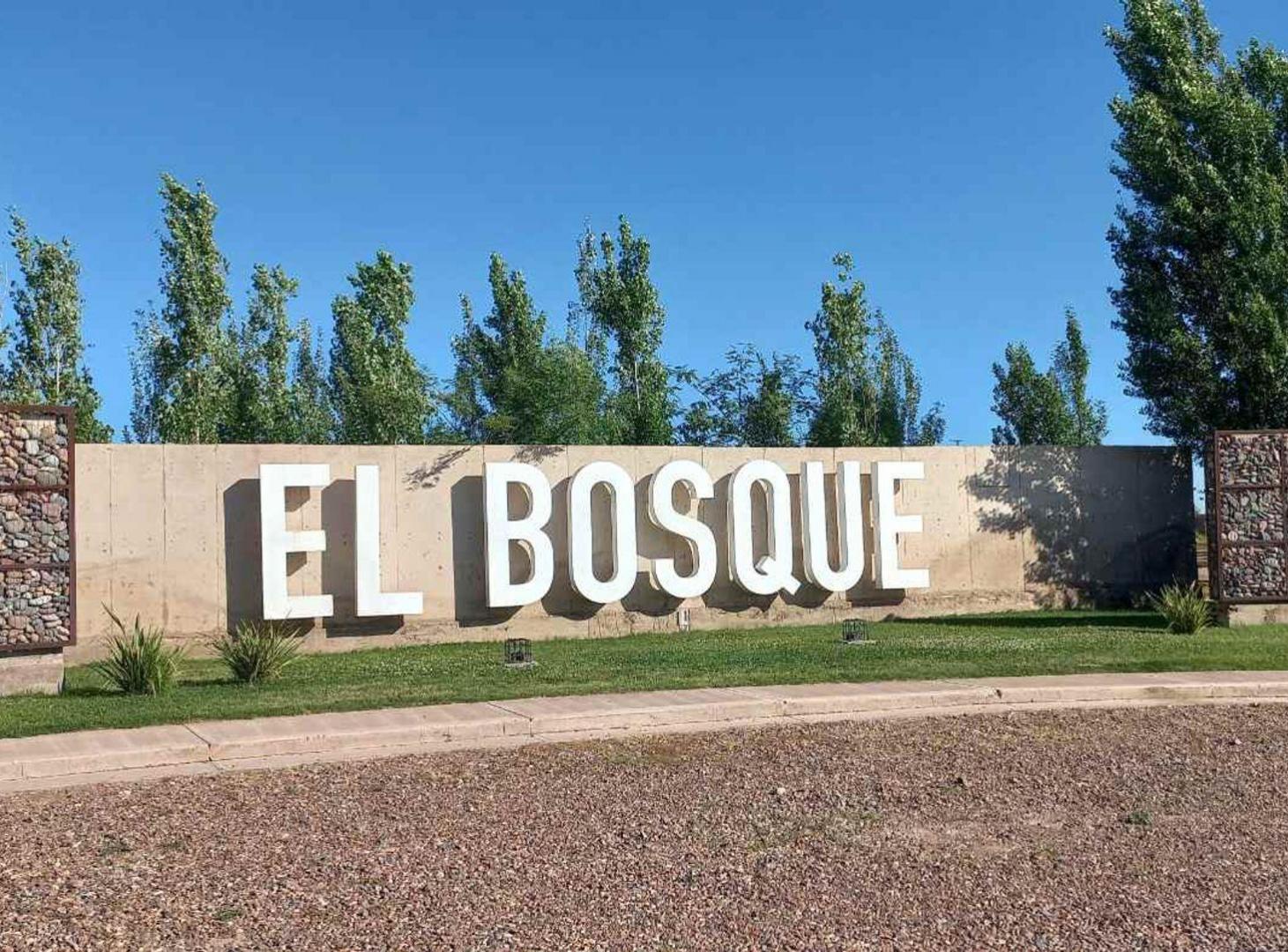 Foto de Terreno en venta - Barrio Privado El Bosque, imagen 1