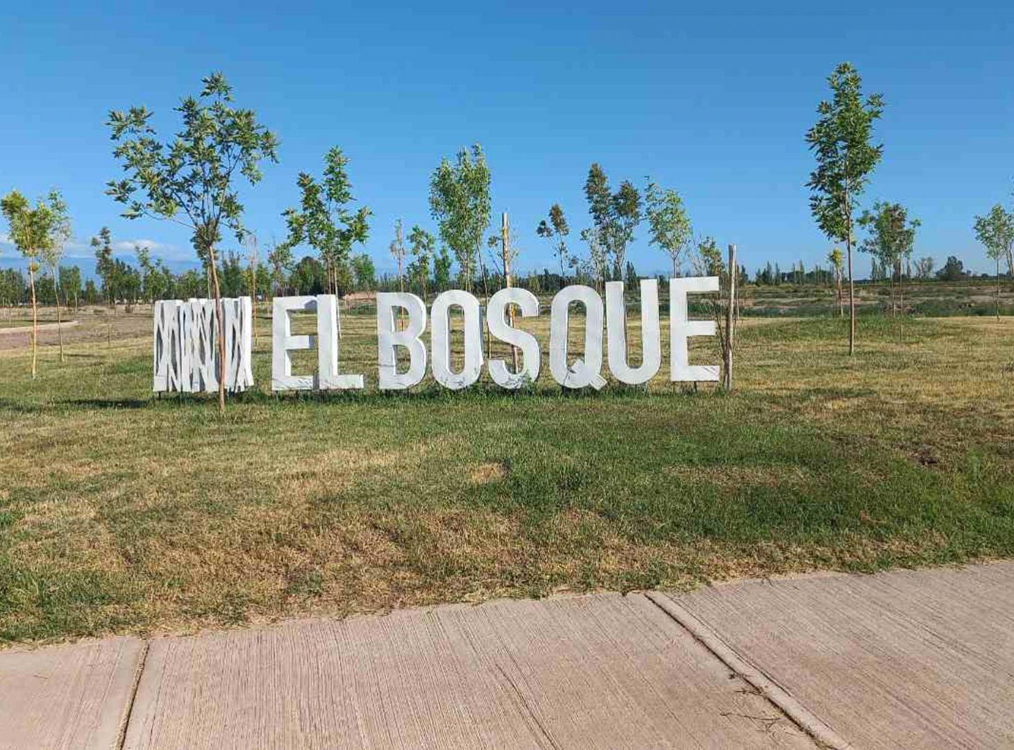 Foto de Terreno en venta - Barrio Privado El Bosque, imagen 3