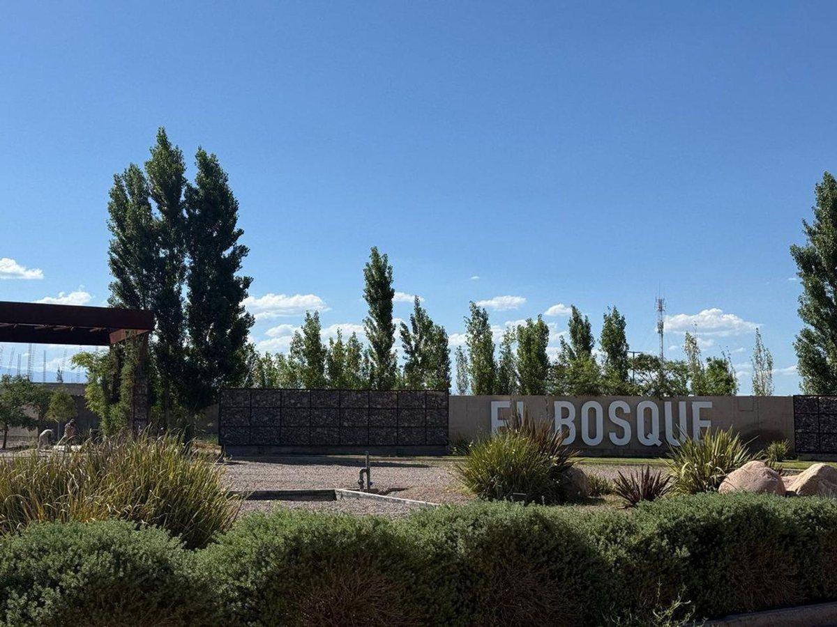 Foto de VENTA LOTE BARRIO PRIVADO EL BOSQUE, imagen 1