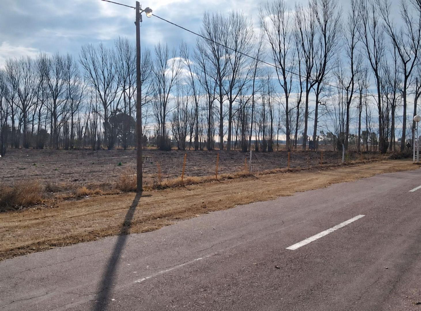Foto de Terreno en Mendoza, General Alvear, Bowen., imagen 3