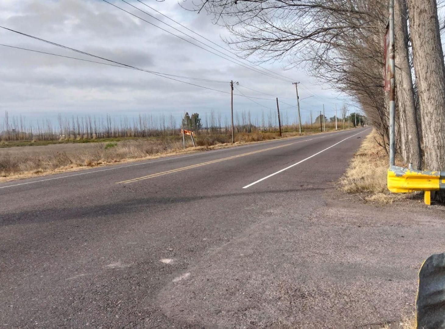 Foto de Terreno en Mendoza, General Alvear, Bowen., imagen 5