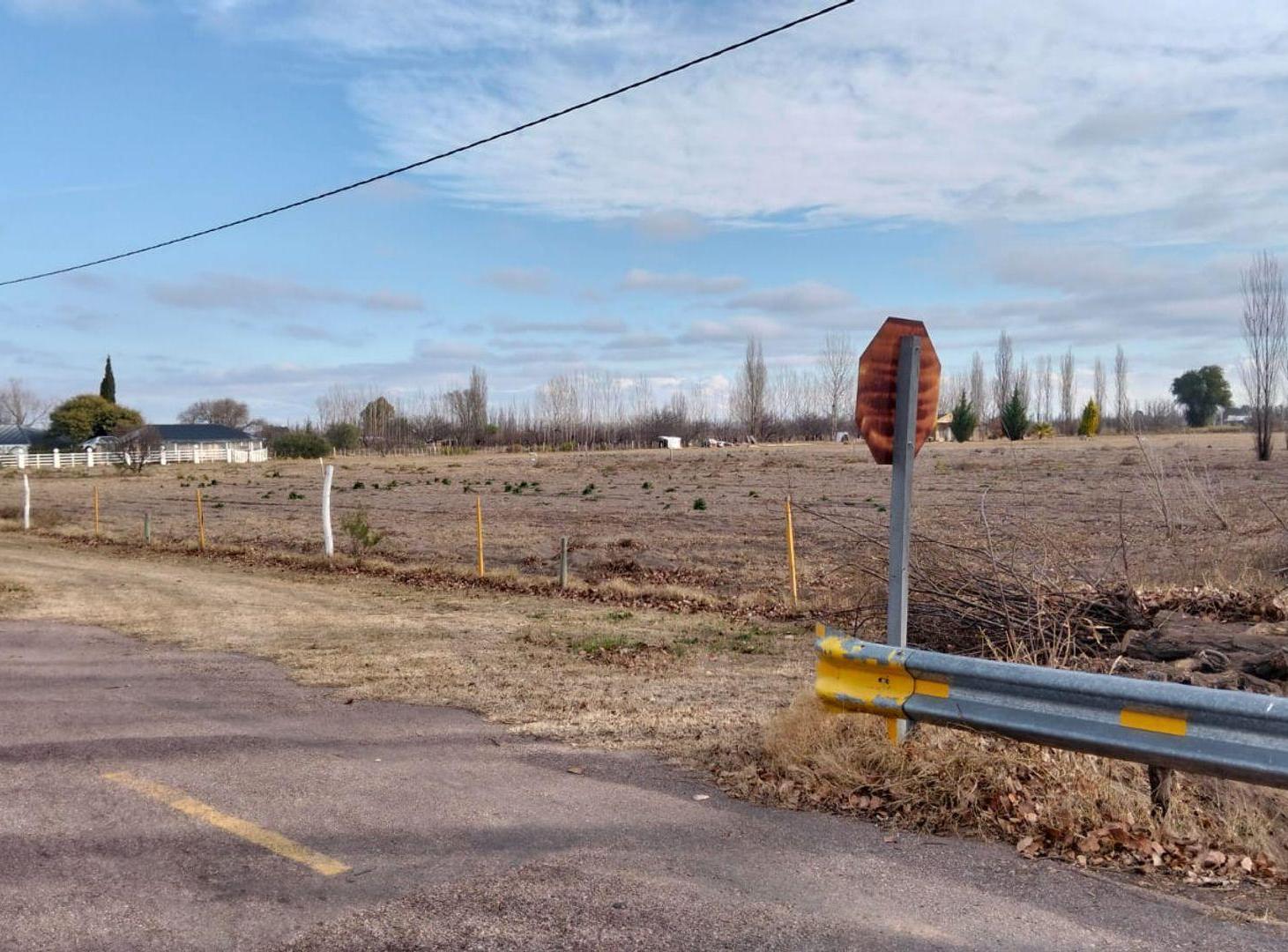 Foto de Terreno en Mendoza, General Alvear, Bowen., imagen 2