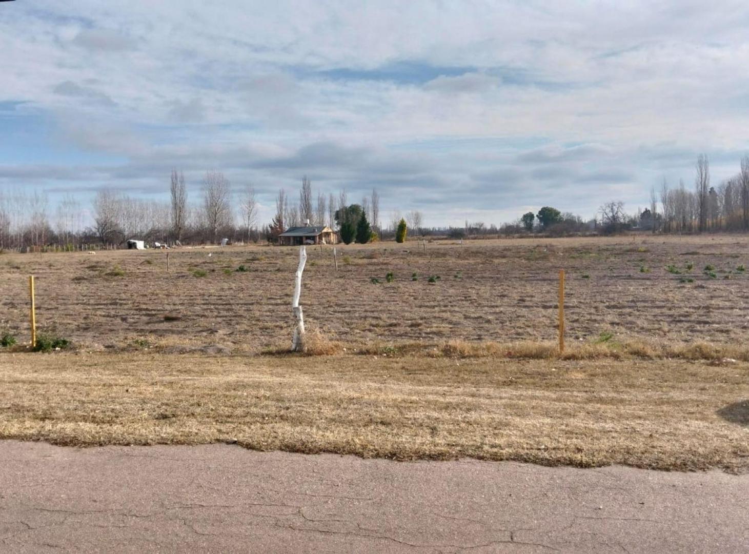 Foto de Terreno en Mendoza, General Alvear, Bowen., imagen 1
