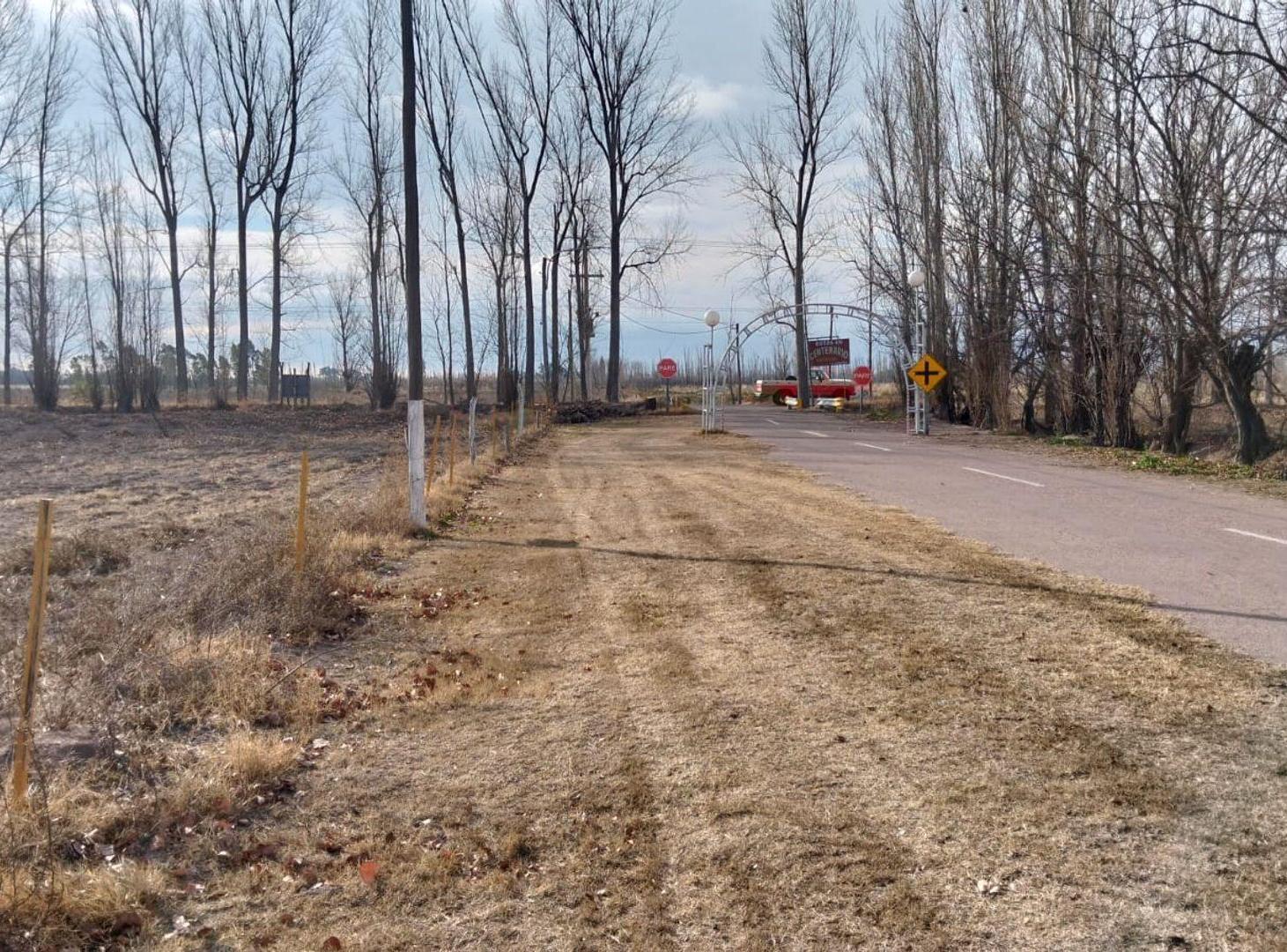 Foto de Terreno en Mendoza, General Alvear, Bowen., imagen 4