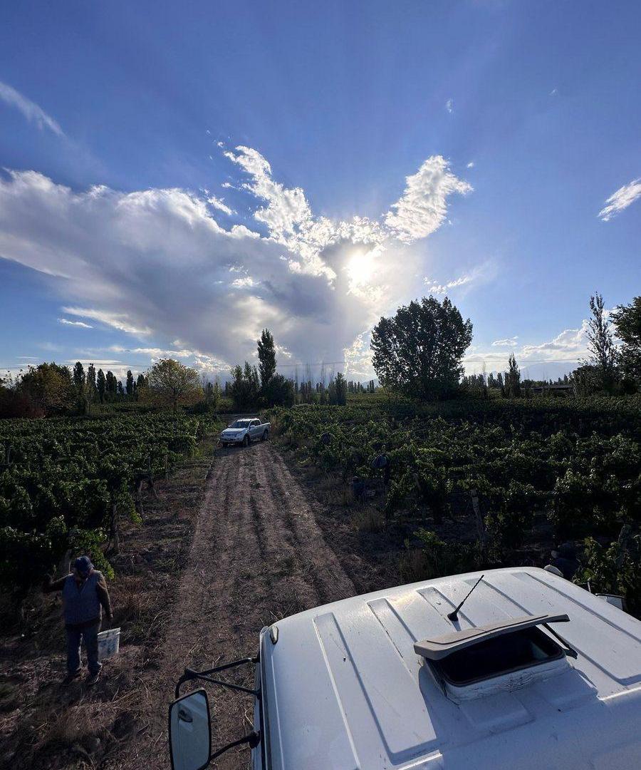 Foto de Hermosa finca en venta en Agrelo, imagen 1