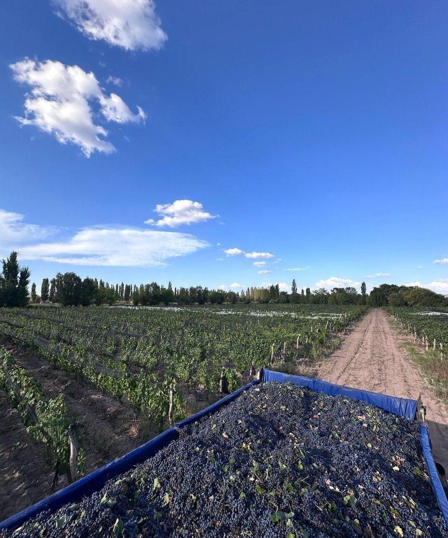 Foto de Hermosa finca en venta en Agrelo, imagen 2