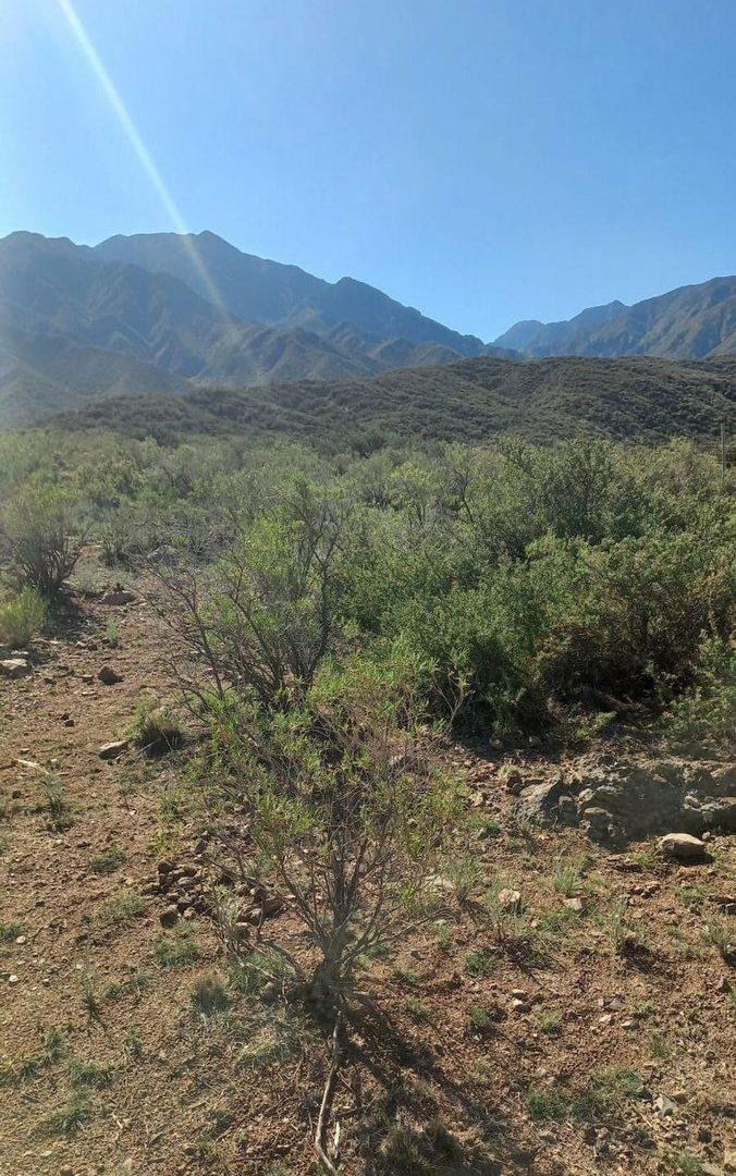 Foto de VENTA LOTE LA CRUCESITA MENDOZA, imagen 2