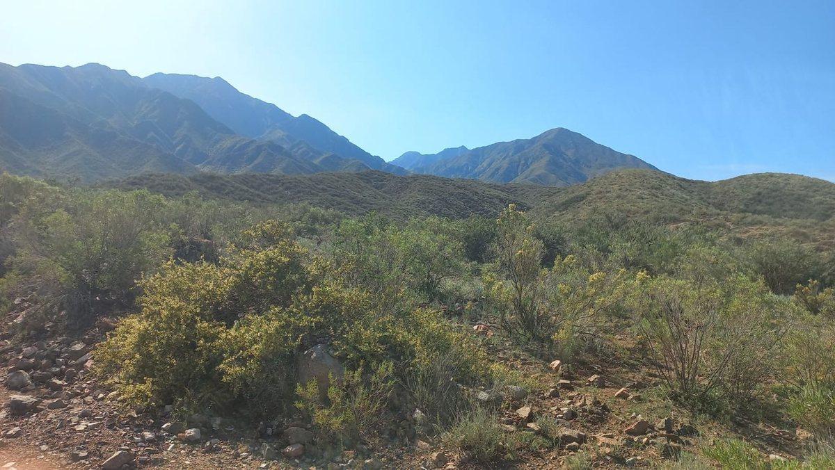 Foto de VENTA LOTE LA CRUCESITA MENDOZA, imagen 1
