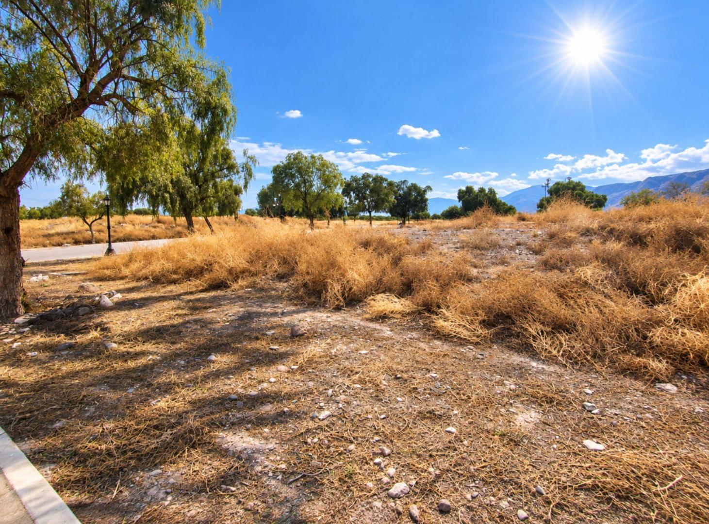 Foto de Se vende lote en Barrio Dalvian, Mendoza, imagen 4
