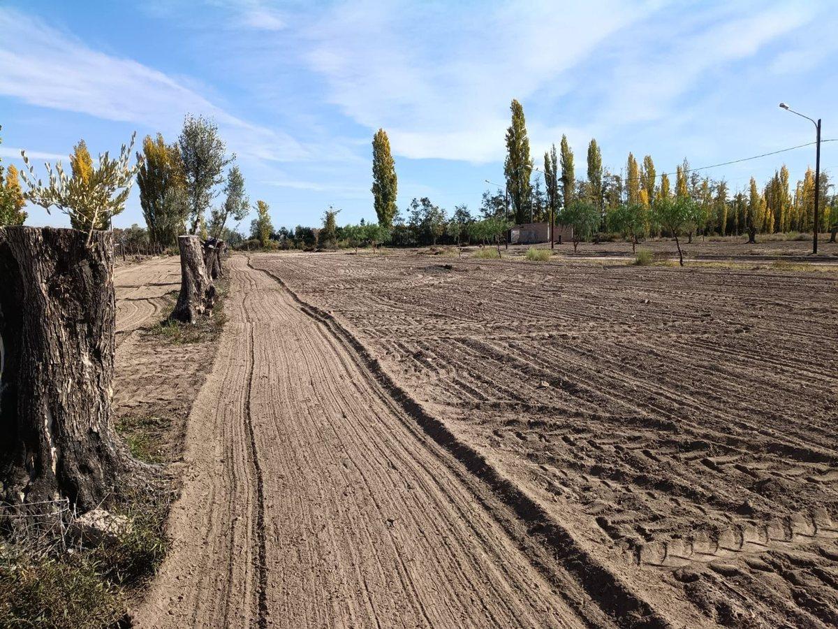 Foto de VENTA LOTES LA POSTA JUNIN MENDOZA, imagen 4