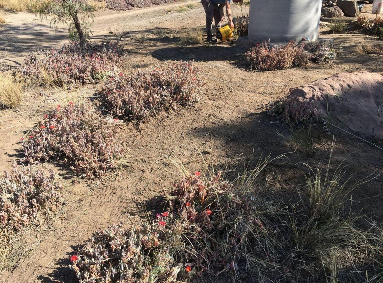 Foto de VENTA BARRIO NUEVAS QUINTAS CIUDAD MENDOZA, imagen 3
