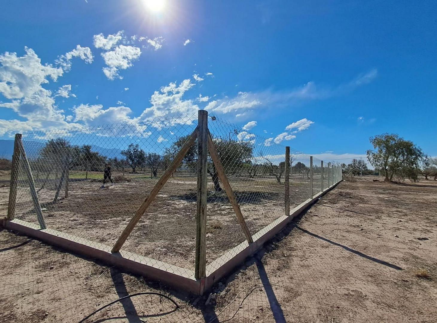 Foto de Terreno en venta en Vistalba, Luján de Cuyo, imagen 4